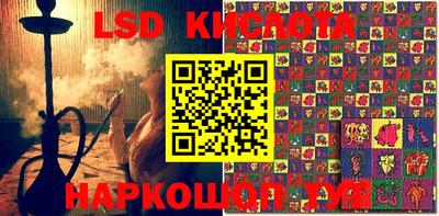 шишки Донской