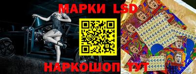 шишки Донской