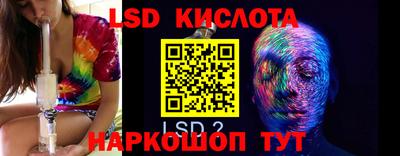 прущие грибы Дубна