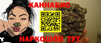 шишки Донской