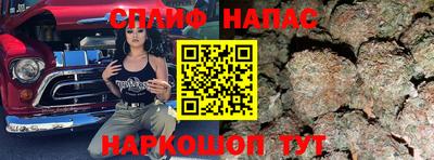 шишки Донской